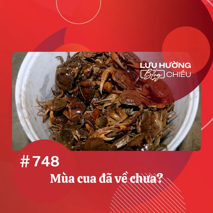 Mùa cua đã về chưa?